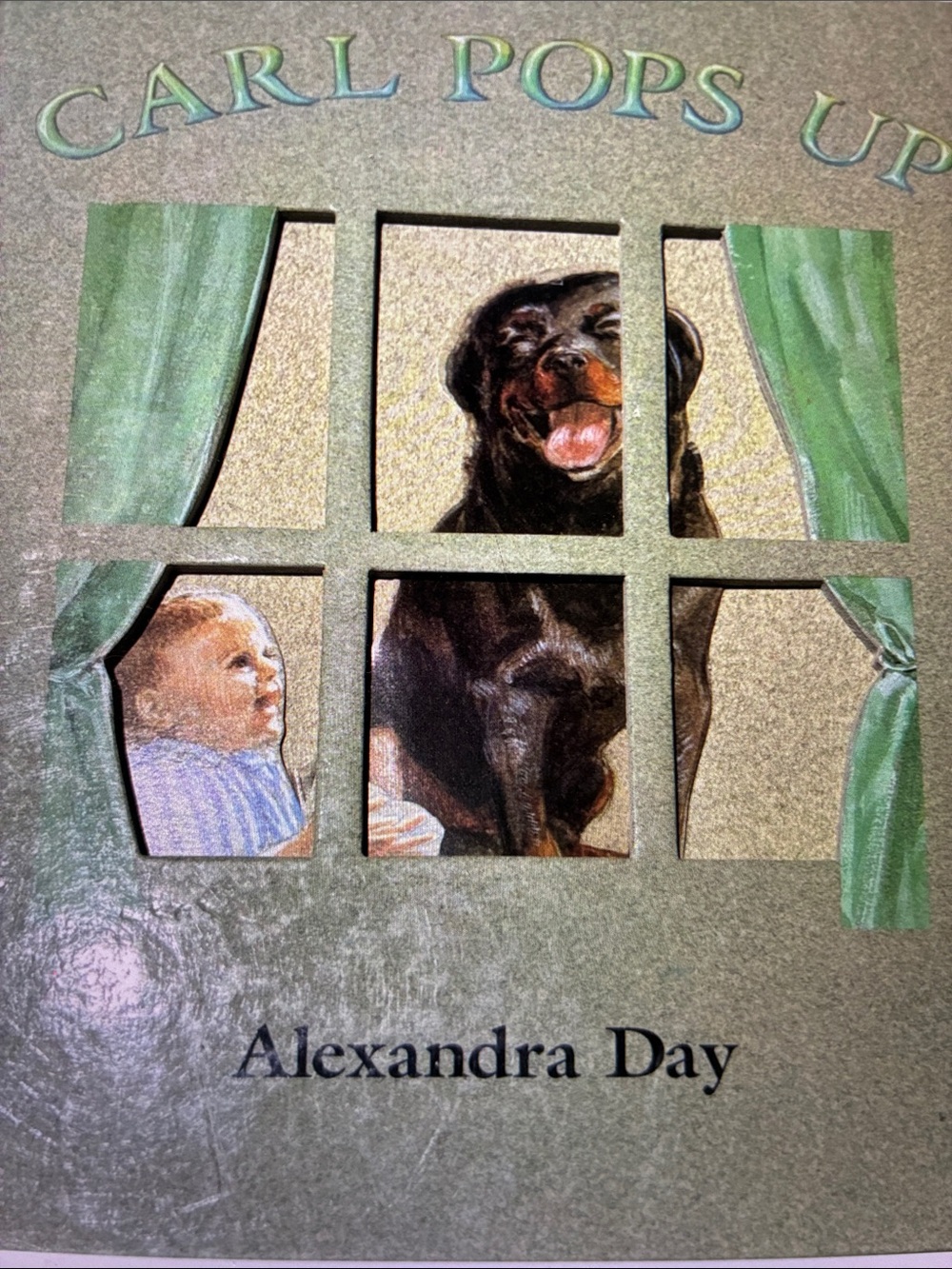 Carl Pips Up Book Dog by Alexandra Day 1994 Moveable parts 1st printing